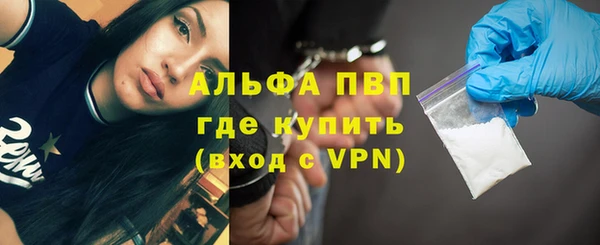 стафф Коряжма