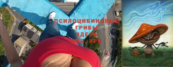 хмурый Костерёво