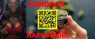 твердый Будённовск