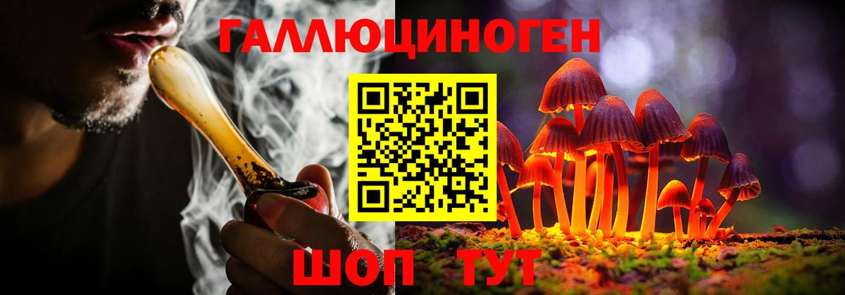 Сыктывкар  Псилоцибиновые грибы GOLDEN TEACHER  Псилоцибиновые грибы MAGIC MUSHROOMS  Вход с VPN 