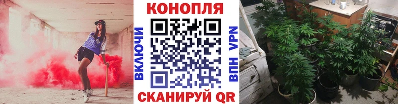 магазин продажи наркотиков Сыктывкар Канабис White Widow